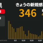 コロナウイルス：最新の状況と影響の考察