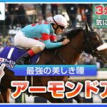 アーモンドアイの競馬史と影響