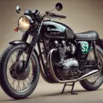 目黒蓮の現在の活動とファンの期待