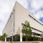 水卜麻美の活動と影響力