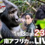 クレイジージャーニーの魅力と最近の特集