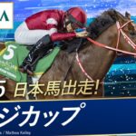 サウジカップの魅力と影響