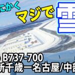 エアドゥ：最新情報と今後の展望