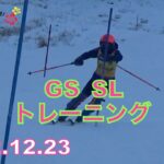 アルペンスキーの現在と未来