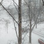 14 февраляの祝日：バレンタインデーの重要性とお祝いの仕方