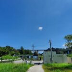 東海道線の現状とその重要性