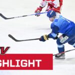 アイスホッケーの現状とその重要性