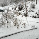 日本の各地での積雪とその影響