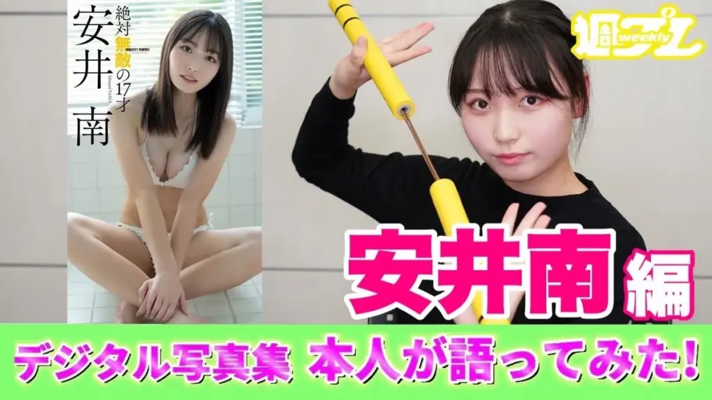 安井南 — JP news