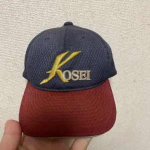 八戸学院光星 — JP news