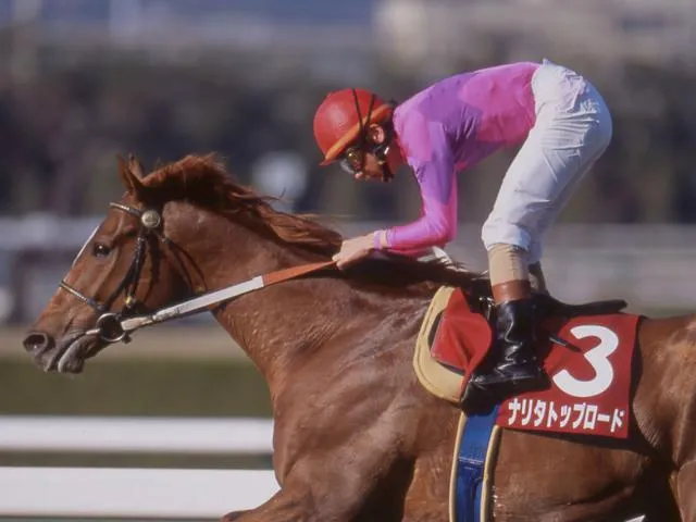 阪神大賞典 — JP news