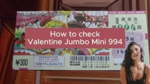 バレンタインジャンボミニ 結果 — JP news