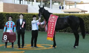 バステール — JP news