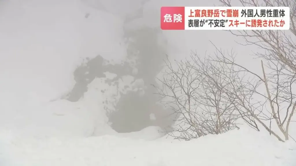 バックカントリー — JP news