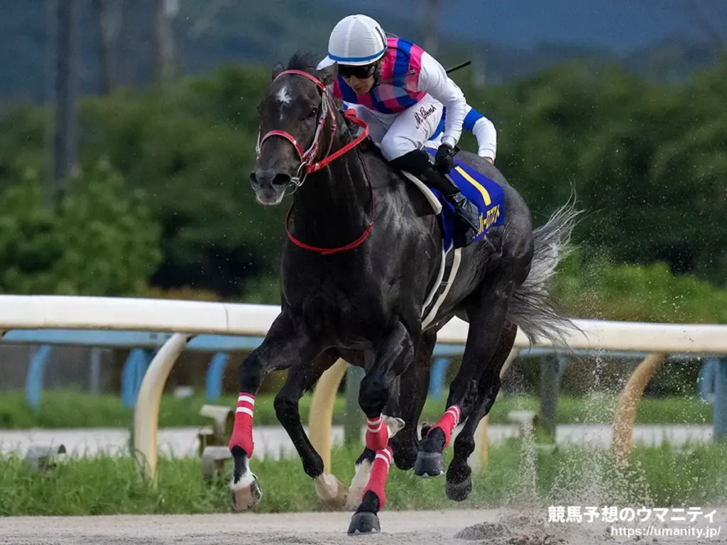 ダイオライト記念 — JP news