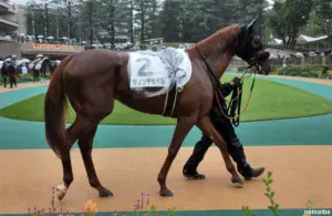 ダノンデサイル — JP news