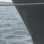 第六十五興富丸が衝突事故で4人死亡