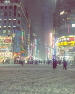東京 雪 — JP news