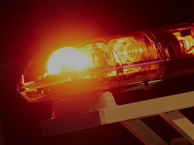 エイベックス — JP news