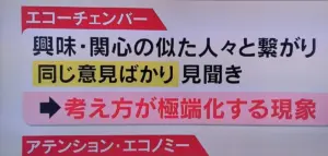 エコーチェンバー — JP news