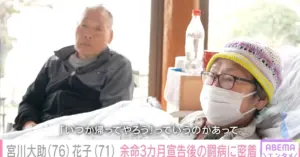 宮川花子 — JP news