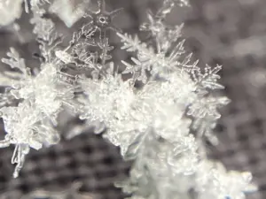 関東 雪 — JP news