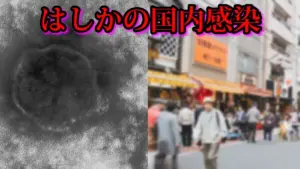 はしか — JP news