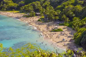 ハワイ — JP news