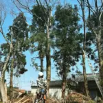 黒川想矢が出演する『GEMNIBUS vol.2』が上映中