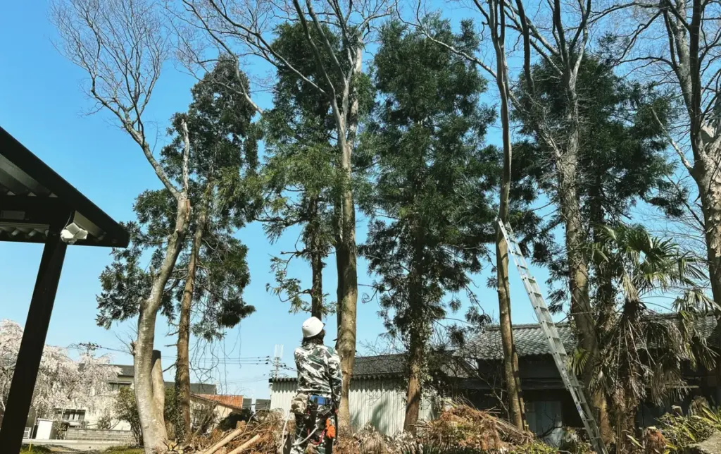 黒川想矢 — JP news