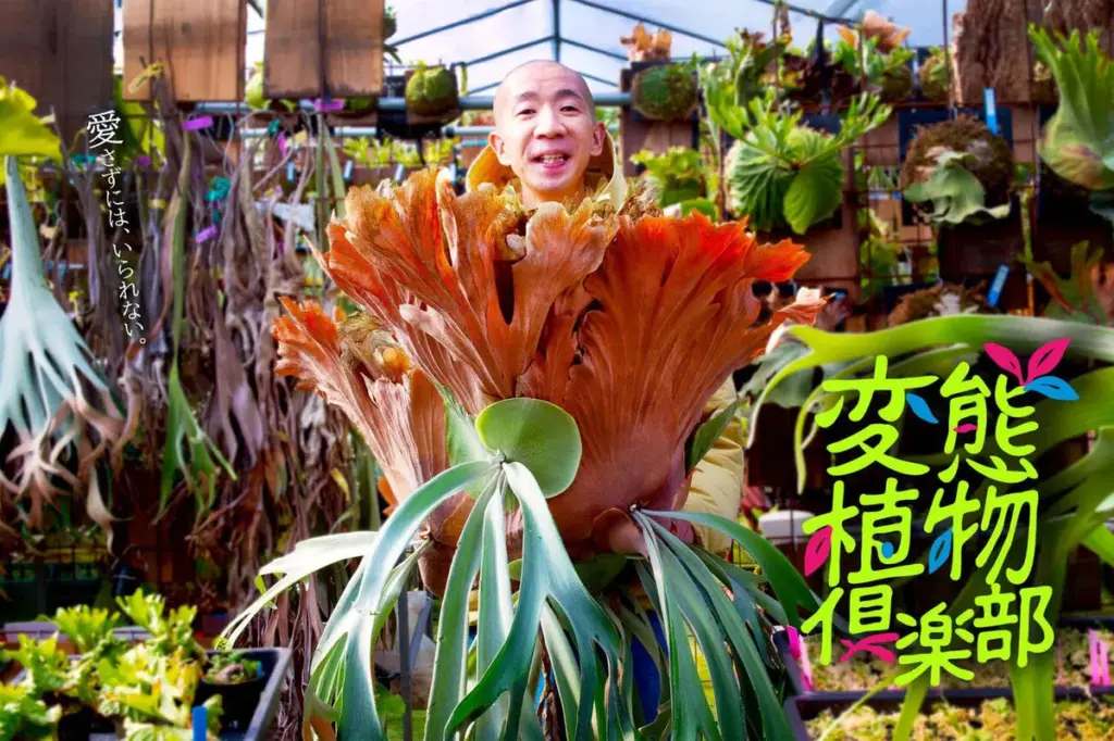 ひょうろく — JP news