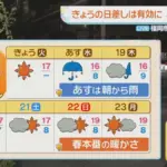 花粉情報：福岡の花粉症対策と気象予測