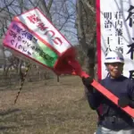 花見の新たな楽しみ方と2024年の桜の見どころ