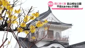 花の開花を促す雨 — JP news