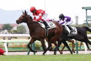 フィリーズレビュー — JP news