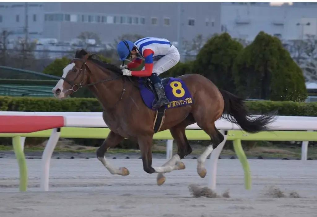 フジノウェーブ記念 — JP news