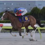 フジノウェーブ記念