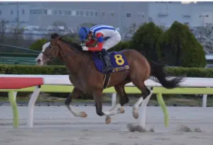 フジノウェーブ記念 — JP news