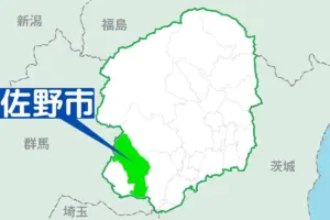 イノシシ — JP news