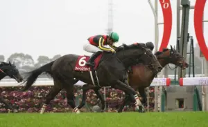 金鯱賞 — JP news