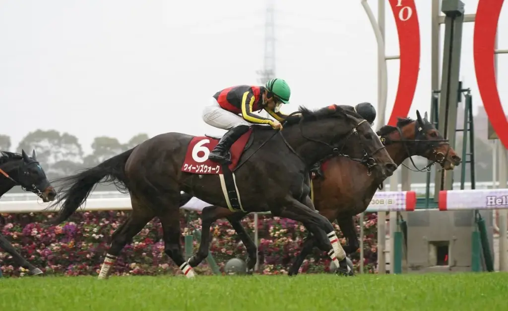 金鯱賞 — JP news