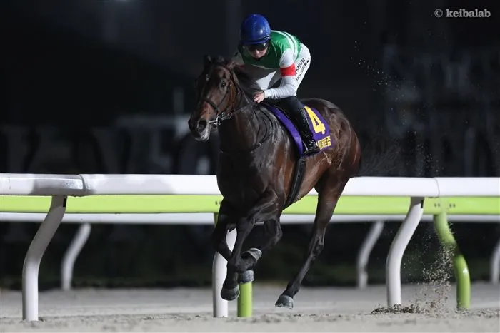 京浜盃 — JP news