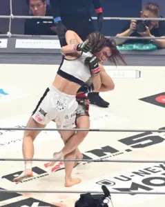 ケイトロータス — JP news