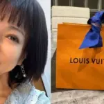 堀ちえみの近況と新たな活動