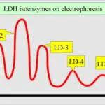 LDHの新ガールズグループCIRRAがデビュー