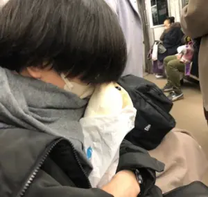 楽天ai — JP news