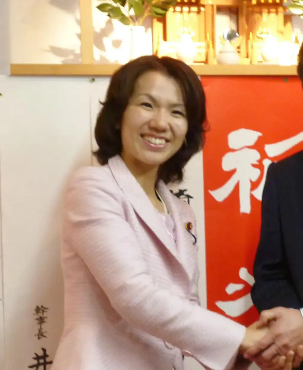 豊田真由子 — JP news