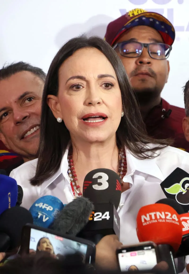 マチャド — JP news