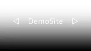 マイアミ — JP news