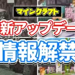 マイクラ アップデート